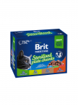 Brit Care Cat Pouch Sterilised Plate 1020 g (12x100 g) | 8595602548514