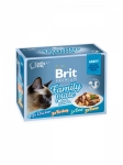 Brit Care Cat Delicate Pouch Fillets in Gravy Family Plate 1020 g (12x85 g) | 8595602570591