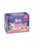 Brit Care Cat Delicate Pouch Fillets in Jelly Family Plate 1020 g (12x85 g) | 8595602570706