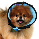 KVP Calmer X-Small 15-23 cm | 742061056519