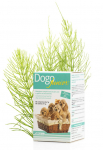 Dogoteka DogoJunior tabl. N60 | 3830089140017
