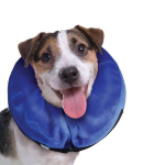 KONG Cloud Small - collar for dogs and cats | 035585081335