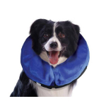 KONG Cloud Medium - collar for dogs | 035585081342