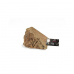 Dog Toy - Heath root S | 8011391623916