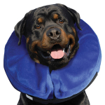 KONG Cloud X-Large - collar for dogs | 035585081366