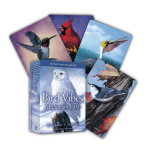 Bird Vibes Meditatsioonikaardid Beyond Woords