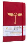 Harry Potter: Alohomora parooliraamat: Insight Editions: A Website and Password Notebook: A Website and Password Notebook Insight Editions