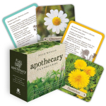 Apteekri Flashcards kaardid