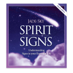 Spirit Signs: Understanding Signs in your Everyday Life - Knyga