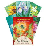 Soulflower Plant Spirit Oracle kaardid Findhorn Press