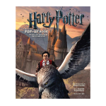Harry Potter: A Pop-up Book: Based on the Film Phenomenon knyga su i&scaron;kylančiomis iliustracijomis Insight Editions