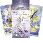 Shadowscapes Tarot kaardid ja raamat (komplekt)
