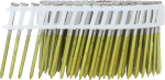 SENCO rullnael 50 x 2,5 mm 16&deg;, plastseotud, kamm, kuumtsingitud 5250 tk, bl21asbc