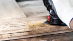 Bosch universaall&otilde;ikuri lihvplaat EXPERT Sanding Plate MAVZ 116 116 mm - RT10