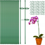 Orhidee toetusvardad