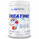 ALLNUTRITION Creatine Muscle Max 500g