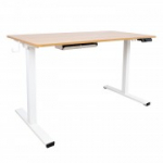ERGO kirjutuslaud 1 mootoriga 120x60xH73-121cm, valge/tamm