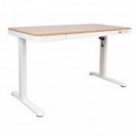ERGO kirjutuslaud 1 mootoriga 120x60xH72-121cm, valge/tamm