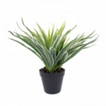 Roheline taim GREEN GRASS, K30cm, must pott