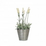 Kunstlill AIAS, lavendel potis K25cm, valge