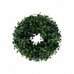 P&auml;rg BUXUS GREENLAND D15cm, roheline soo