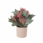 Kunsttaim GREENLAND potis, Monarda, sega