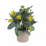 Kunsttaim GREENLAND potis, troopiline, m