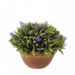 Kunsttaim GREENLAND potis, sinilill