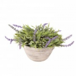 Kunsttaim GREENLAND potis, helehall.