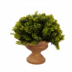 Kunsttaim GREENLAND potis jalas