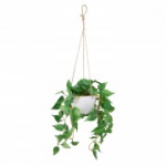 Kunsttaim GREENLAND potis, rippuv, Kuld-