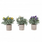 Kunsttaim GREENLAND potis, ristiku&otilde;ied,