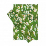 Linik HOLLY 43x116cm, karikakrad