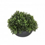 Kunsttaim AIAS, D30xH25cm, roheline, hall pott