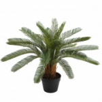 Kunsttaim CYCAS H70cm, must pott