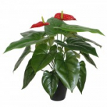 Kunsttaim ANTHURIUM H45cm, flamingo, must pott