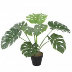 Kunsttaim MONSTERA H60cm, must pott