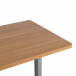 Lauaplaat ERGO 140x70cm, vaher