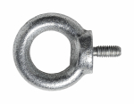 Aaspolt M10 Zn DIN 580 (2/tk pakk)