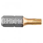Otsik TX20x25mm, 1/4" (2tk/pakis)