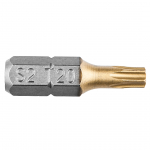 Otsik TX20x25mm, 1/4" (2tk/pakis)