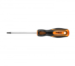 Kruvikeeraja torx T25x100mm