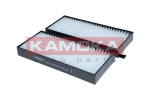 Filtras, salono oras KAMOKA F429701