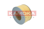Kuldsed filtrid KAMOKA F215901