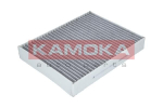 Filtras, salono oras KAMOKA F508701