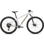 Specialized Rockhopper Expert 29" maastikuratas | Silver Dust - Satin Burnt Gold Metallic, XXL