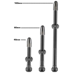 Schwalbe SV Tubeless ventiilid (2 tk), 100 mm