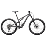 Specialized Stumpjumper 15 Comp Alloy maastikuratas | 29, S2