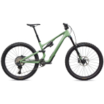 Specialized Stumpjumper 15 EVO Expert maastikuratas | 29" | Gloss Pistachio - Dark Moss Green, S5