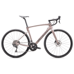 Specialized Roubaix SL8 Sport 105 maanteeratas | Kiilto Champagne - suitsu, 58